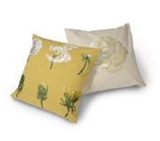 Cushions embrodery